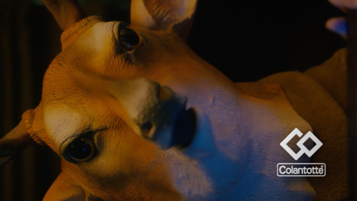 doublet x Colantotte